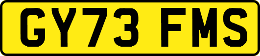 GY73FMS