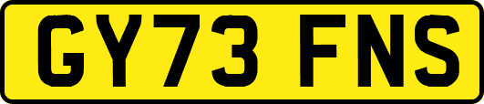 GY73FNS