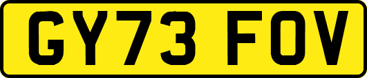 GY73FOV