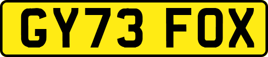 GY73FOX