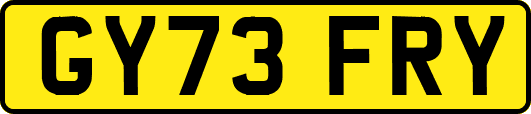 GY73FRY