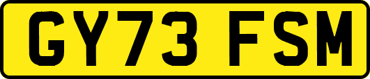 GY73FSM