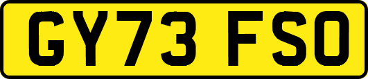GY73FSO