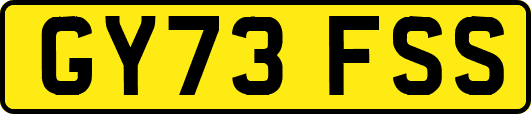 GY73FSS