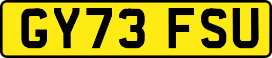 GY73FSU