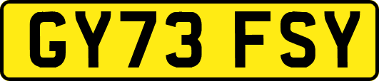 GY73FSY