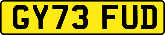 GY73FUD