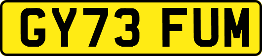 GY73FUM