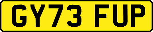 GY73FUP