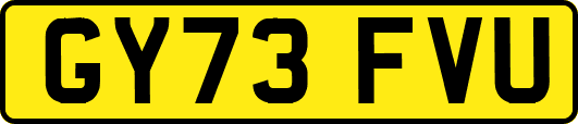 GY73FVU