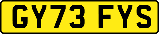GY73FYS