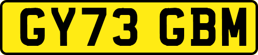 GY73GBM