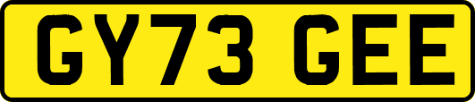 GY73GEE