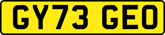 GY73GEO