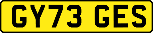 GY73GES
