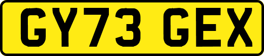 GY73GEX