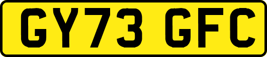 GY73GFC
