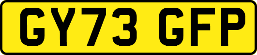 GY73GFP