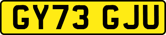 GY73GJU