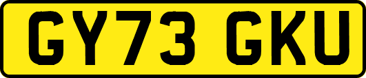 GY73GKU