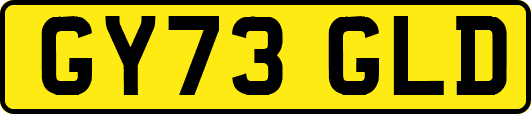GY73GLD