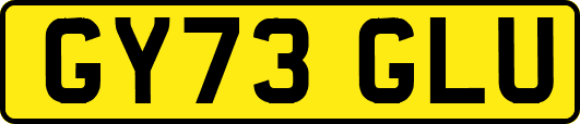 GY73GLU