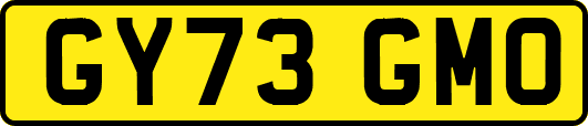 GY73GMO