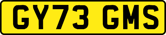 GY73GMS