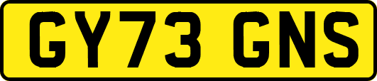 GY73GNS