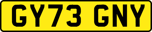 GY73GNY