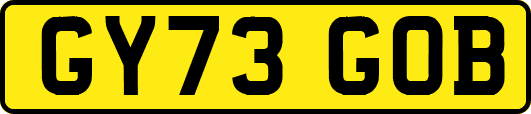 GY73GOB