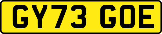 GY73GOE