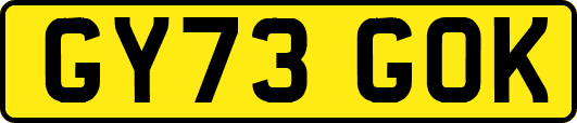 GY73GOK