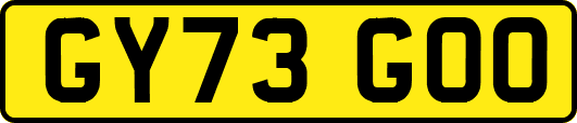 GY73GOO