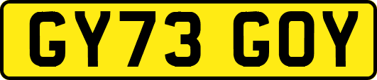 GY73GOY