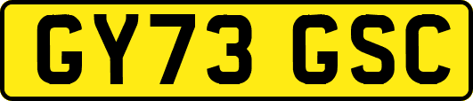 GY73GSC
