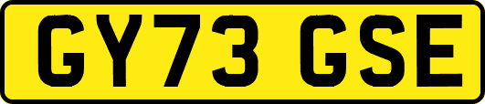 GY73GSE