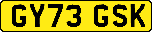 GY73GSK