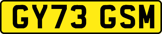GY73GSM