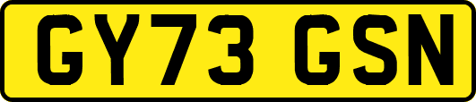 GY73GSN