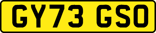 GY73GSO