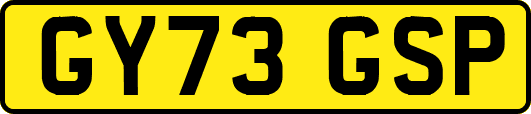 GY73GSP
