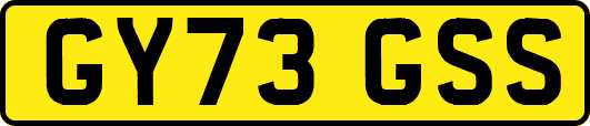 GY73GSS