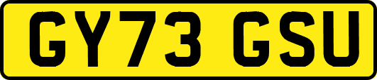 GY73GSU