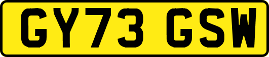 GY73GSW