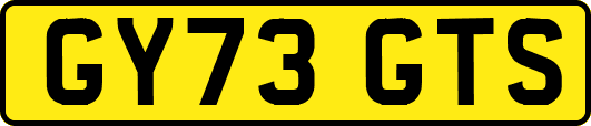 GY73GTS