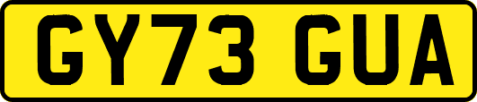 GY73GUA
