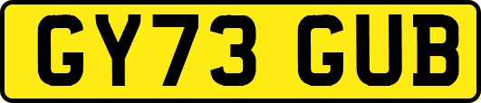 GY73GUB