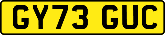 GY73GUC