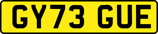 GY73GUE